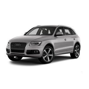 Stop KM/Mile Freezer for Audi Q5/SQ5 FY