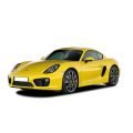KM/Mile Freezer for the Porsche Cayman 982 Type 718 - Image 1
