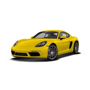 KM/Mile Freezer for the Porsche Cayman 981