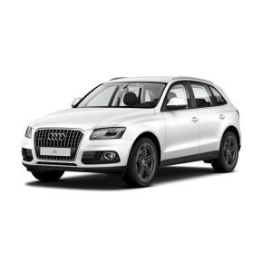 Stop KM/Mile Freezer for the Audi Q5 / SQ5 (Type 8R) 2008-2017